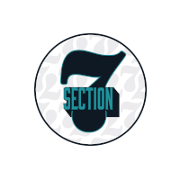 Section 7 logo