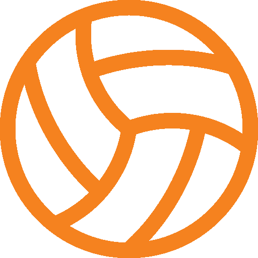 Volleyball icon